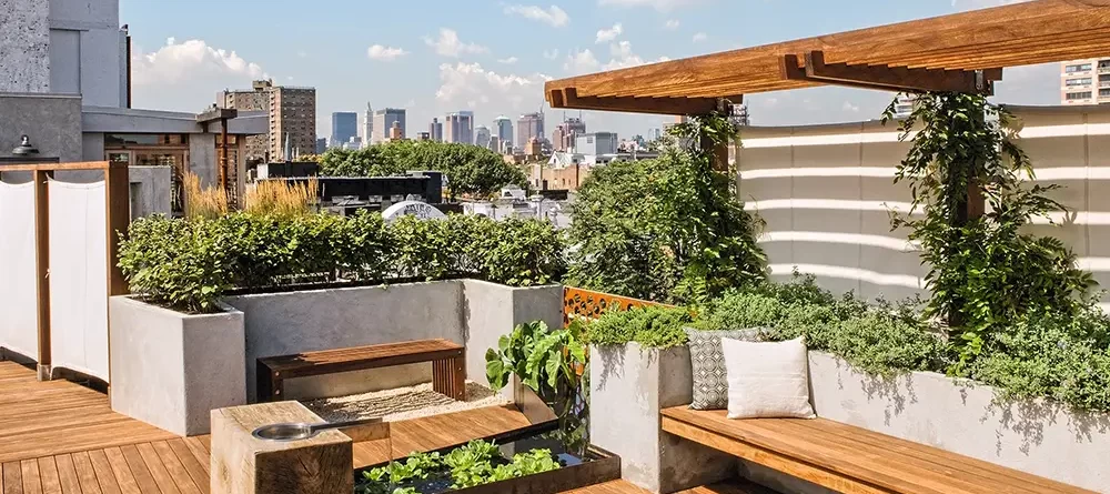 مقایسه روش های اجرای بام سبز